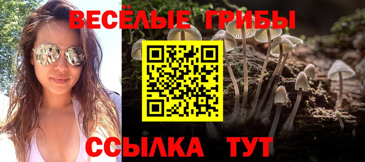 Галлюциногенные грибы Cubensis Таганрог